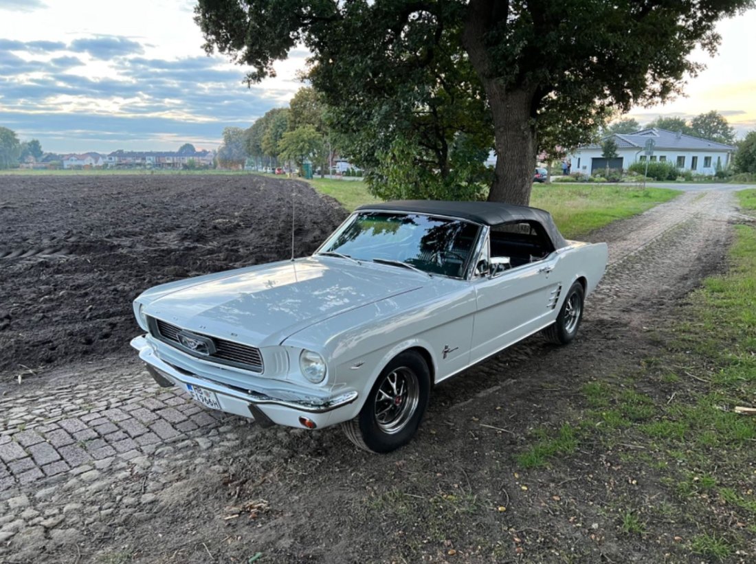 Mustang_66_01.JPG