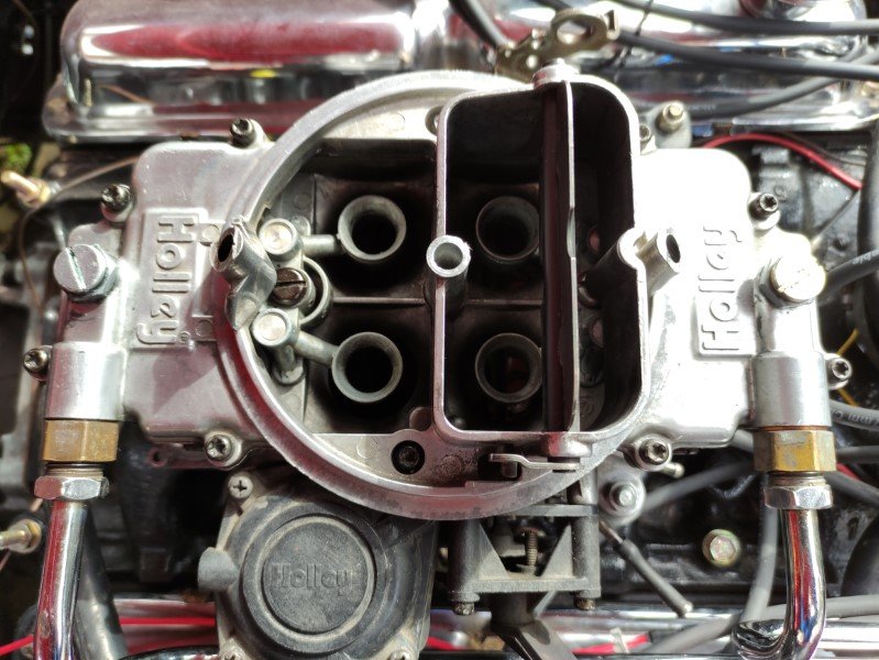 IMG_20230317_140743 (Mittel).jpg