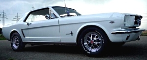Stang.jpg