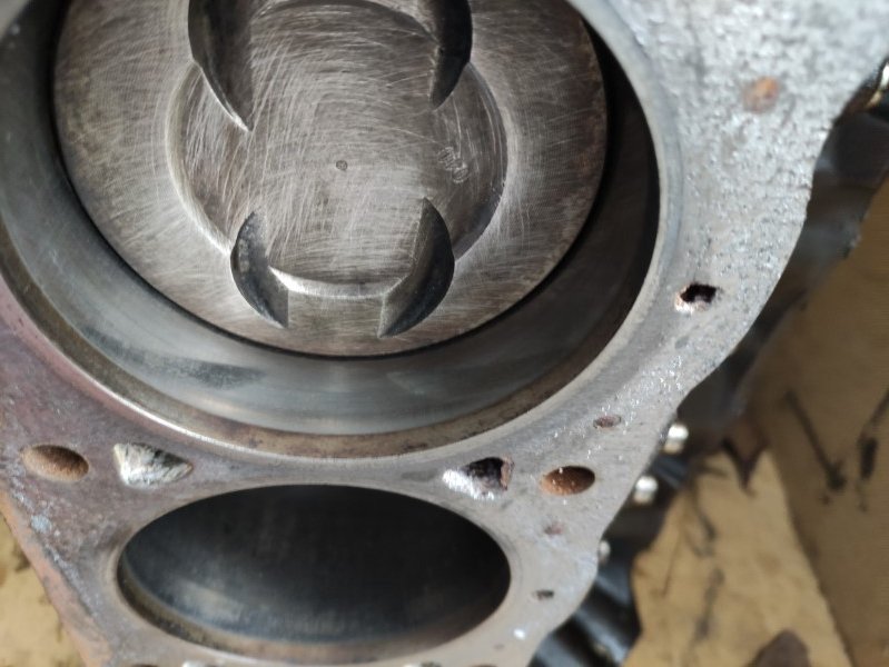 IMG_20230429_120257 (Mittel).jpg