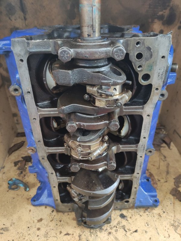 IMG_20230429_125308 (Mittel).jpg