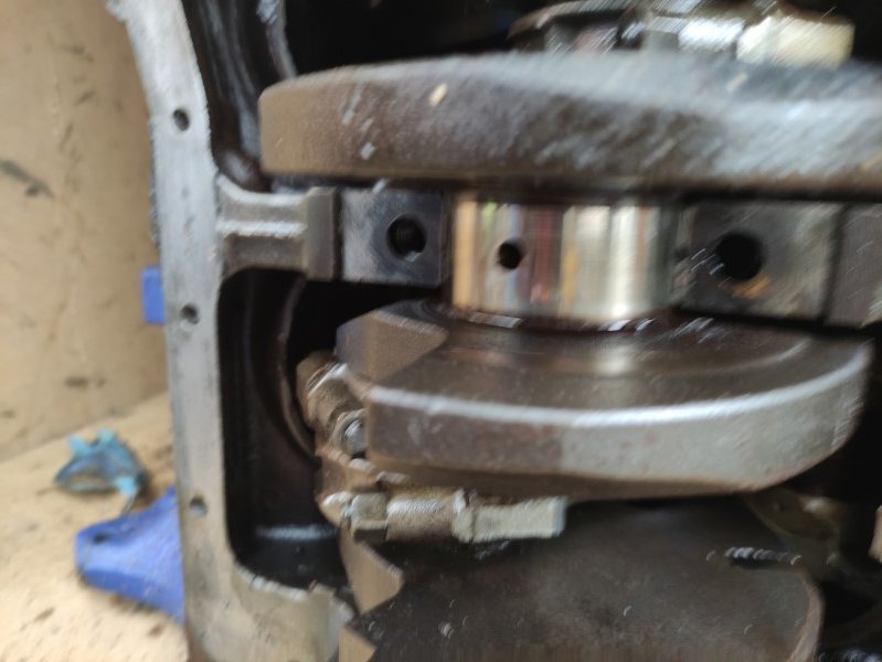 IMG_20230429_125327 (Mittel).jpg