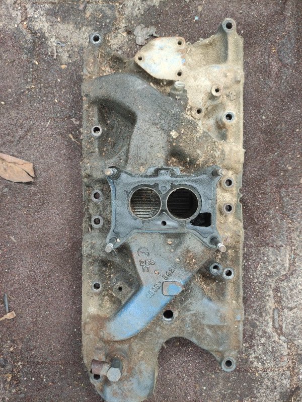 IMG_20230501_112814 (Mittel).jpg