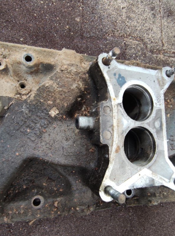 IMG_20230501_112855 (Mittel).jpg