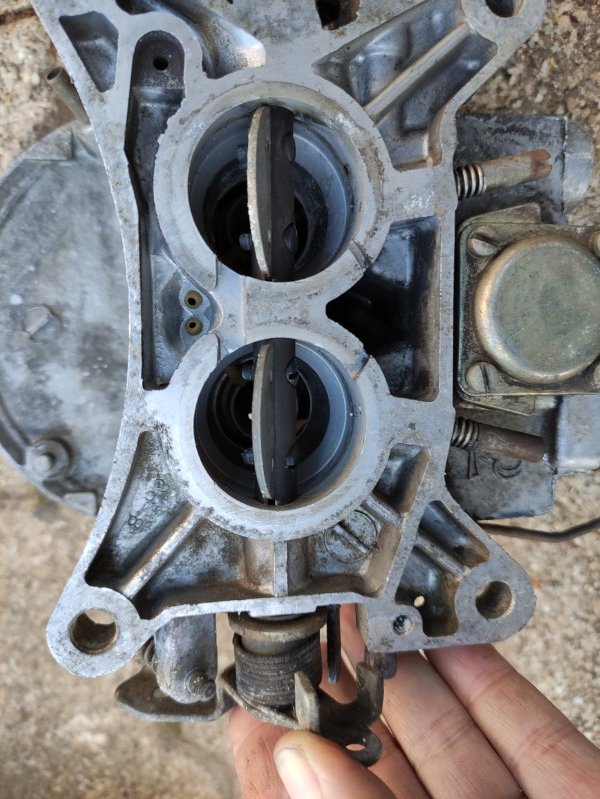 IMG_20230502_194435 (Mittel).jpg