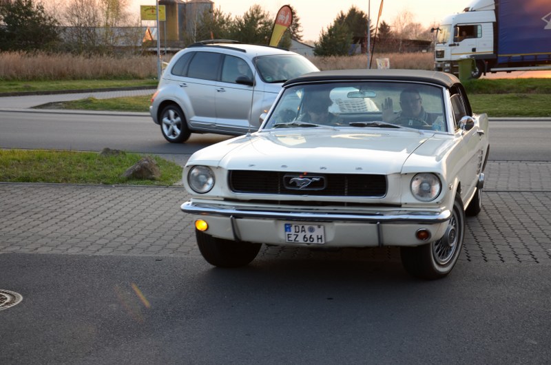 DSC_0063_800x530.JPG