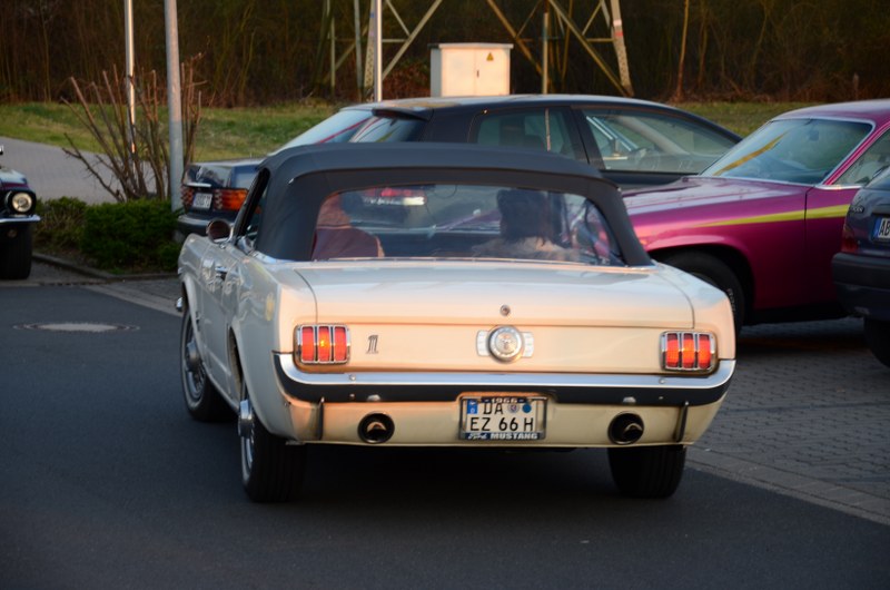 DSC_0064_800x530.JPG