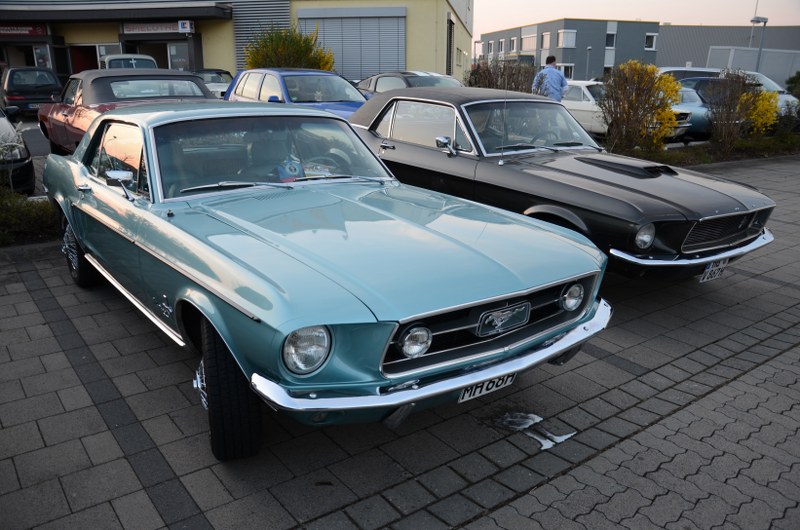DSC_0073_800x530.JPG