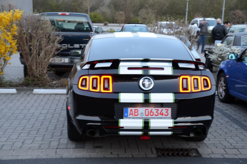 DSC_0097_800x530.JPG