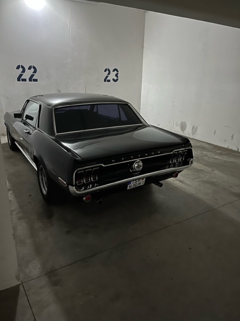 image5.jpeg