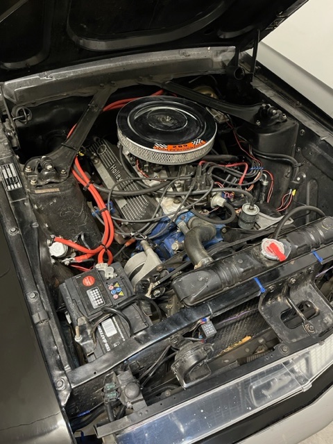 image6.jpeg