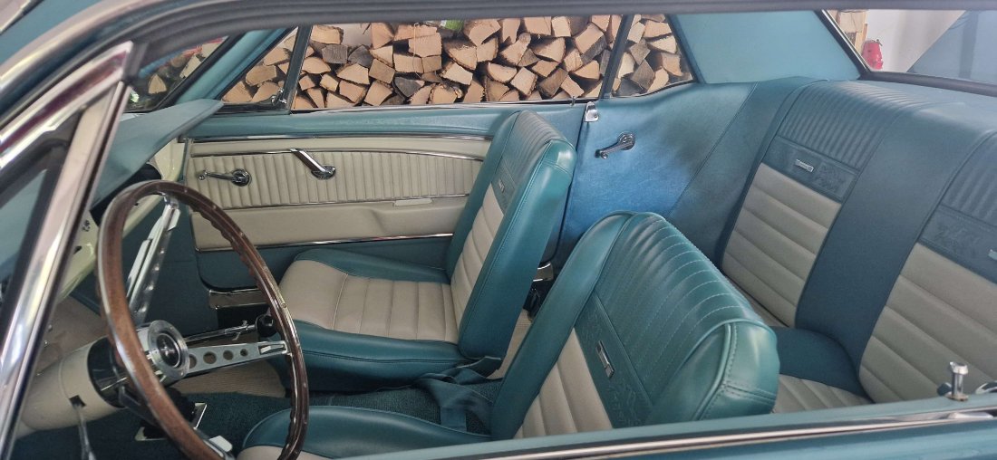 1965 x.jpg