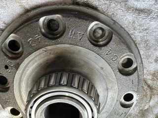 image1.jpeg