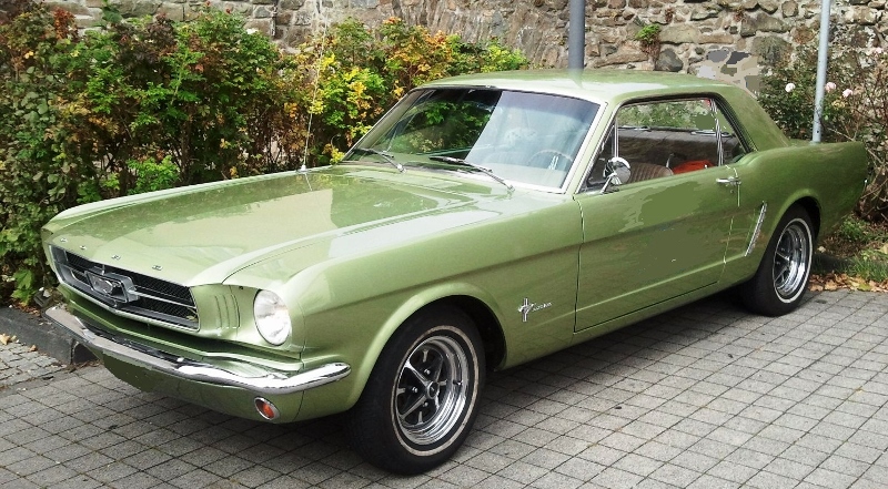 Mustang Test (800x441).jpg