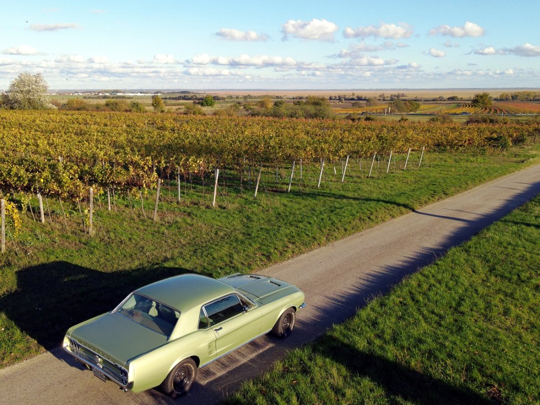 DJI_0952 - Kopie - Kopie.JPG