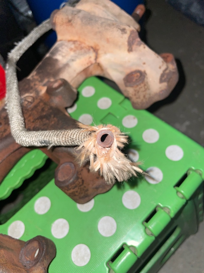 E71233DD-9CE5-4CF0-8678-4D66DC0D8F91.jpeg
