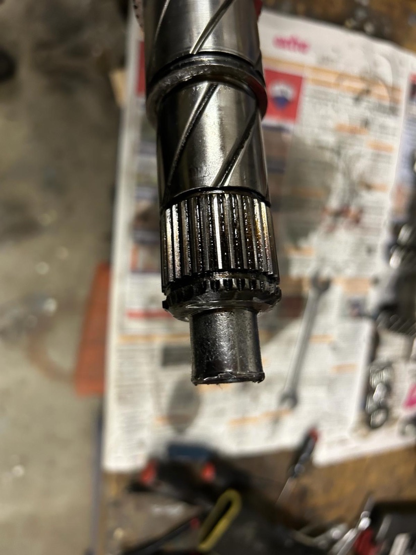 f80cae47-e966-495e-8123-2fed3f5fab18.JPG