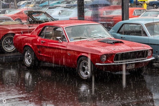 Mustang Meet FRA-100.jpeg