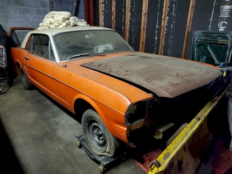 0001_46 (Mittel).jpg