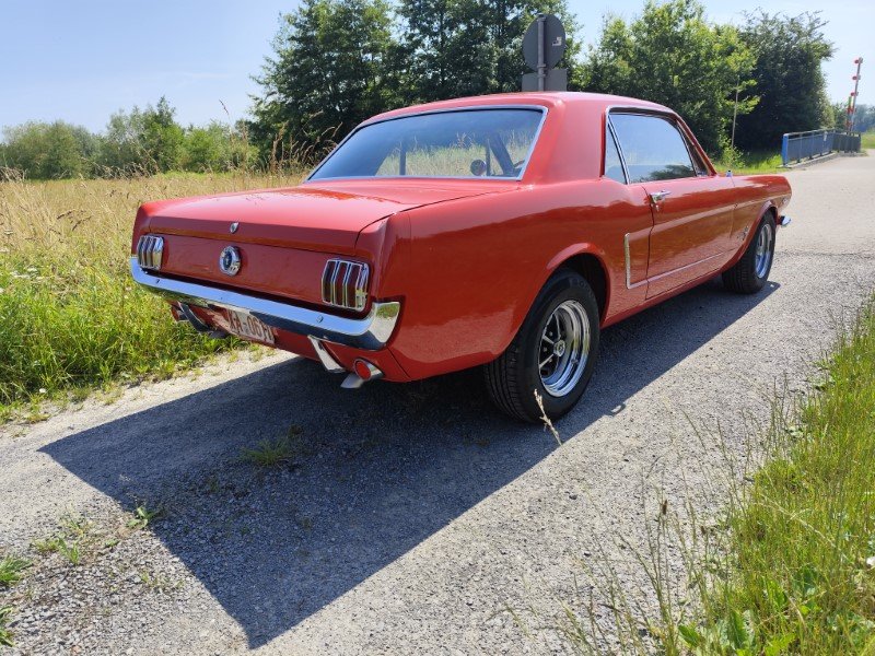 IMG_20240626_113930 (Mittel).jpg