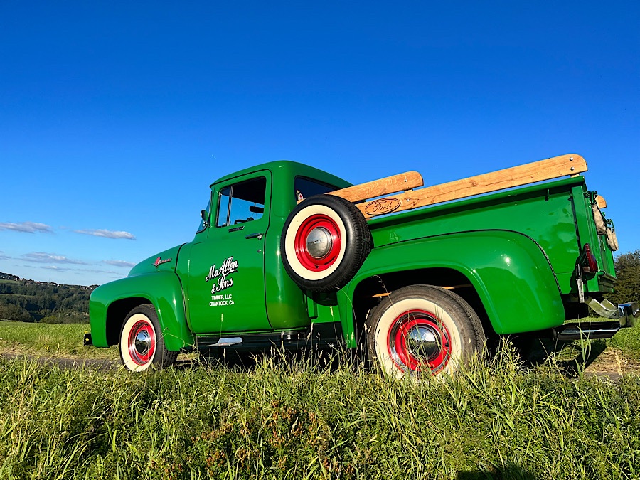 1956 Ford F100