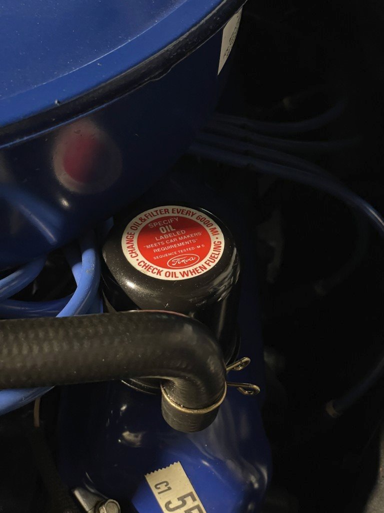 IMG_9449mittel (1).JPG