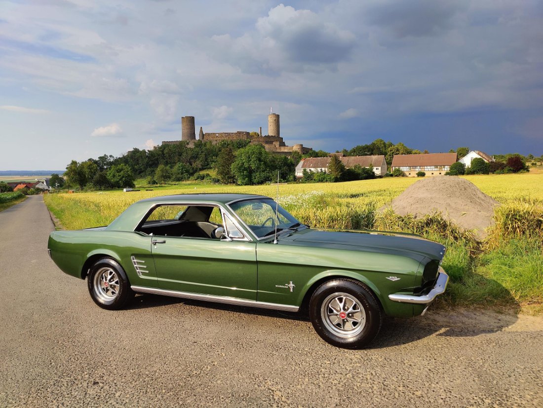 Mustang klein.jpg