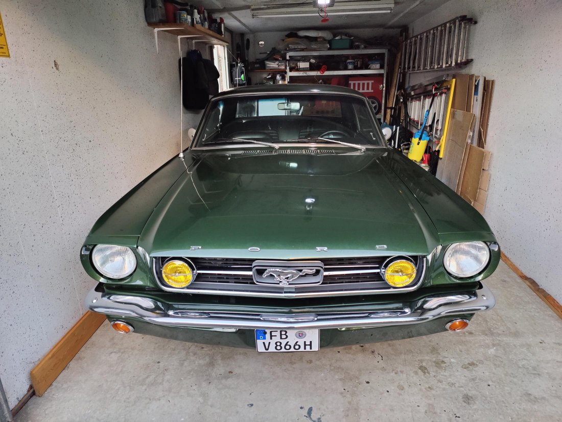 IMG20250113164423 (Copy).jpg