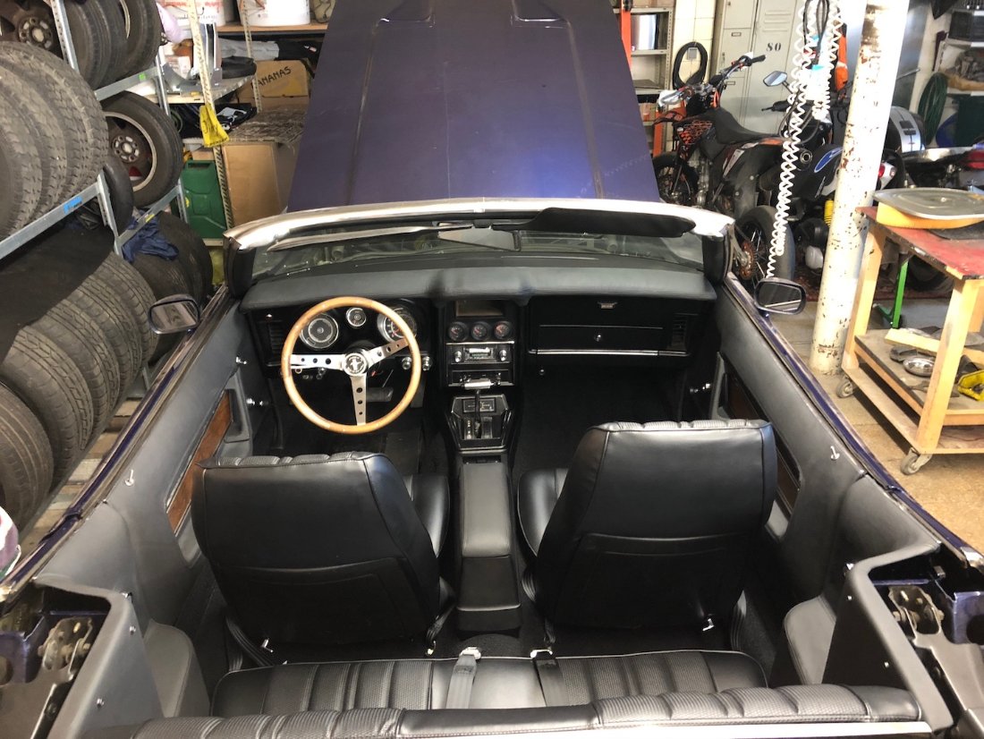 T5 Innenausstattung .jpeg