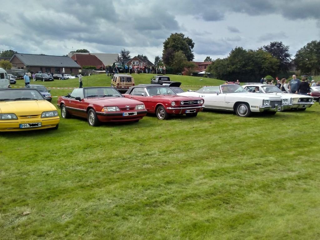 IMG-20230903.jpg