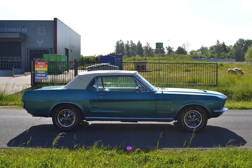 DSC_1516a.jpg
