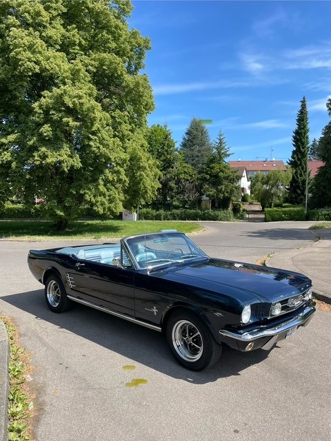 Mustang.jpg