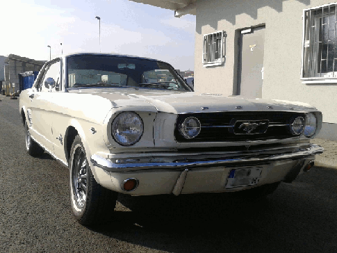 2014-03-08 15.14.57.gif