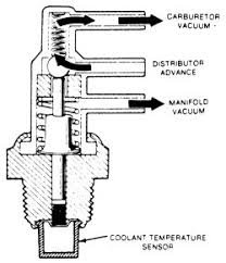 vactree.jpg