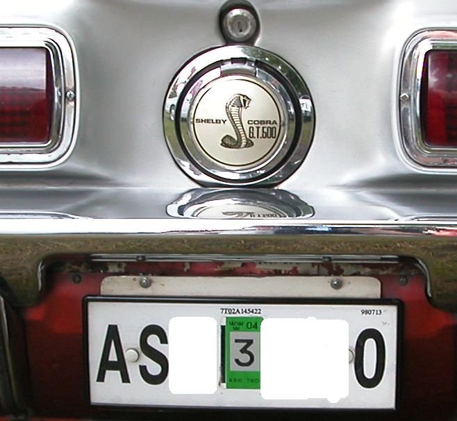 swelicenceplate2006w.jpg