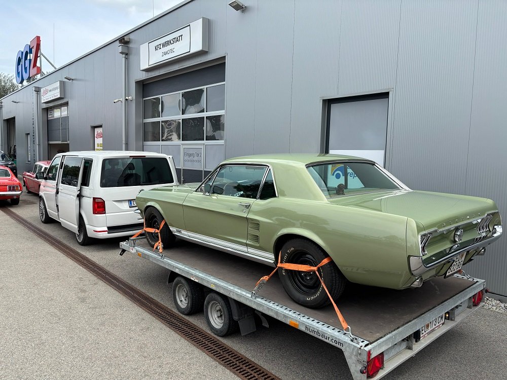 WhatsApp Image 2025-07-29 at 16.24.11.jpeg