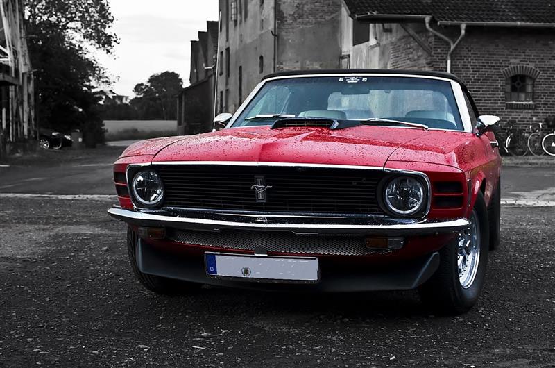 11  mustang (Individuell).jpg