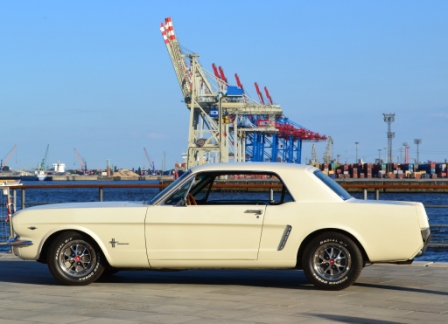 Mustang HH.JPG