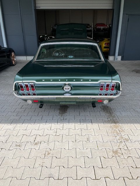 Mustang2.JPG
