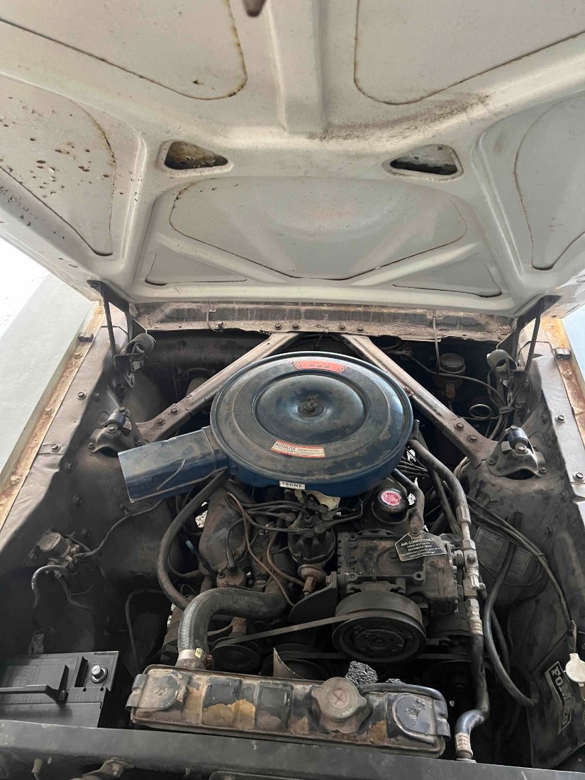 Motor_gesamt.jpg