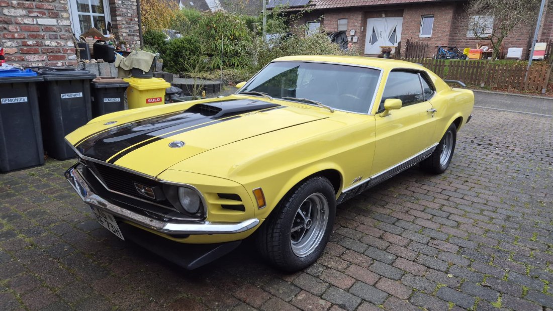 WhatsApp Bild 2025-11-09 um 17.24.03_b63a68b1.jpg