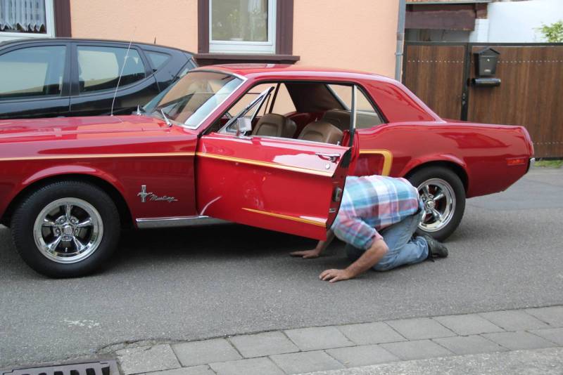 roll out   11  800.jpg