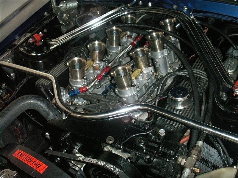 PICT0294 (Medium).JPG