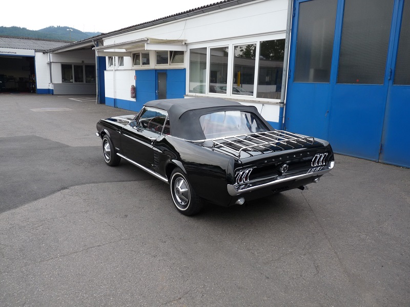 P1030027.jpg