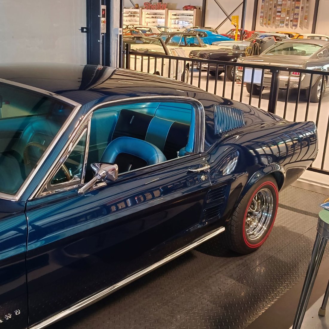 IMG_20260320_145830 Klein.jpg