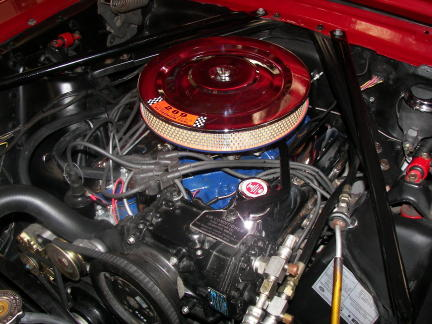 Mustang 001.png