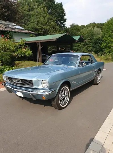Mustang 1.jpg