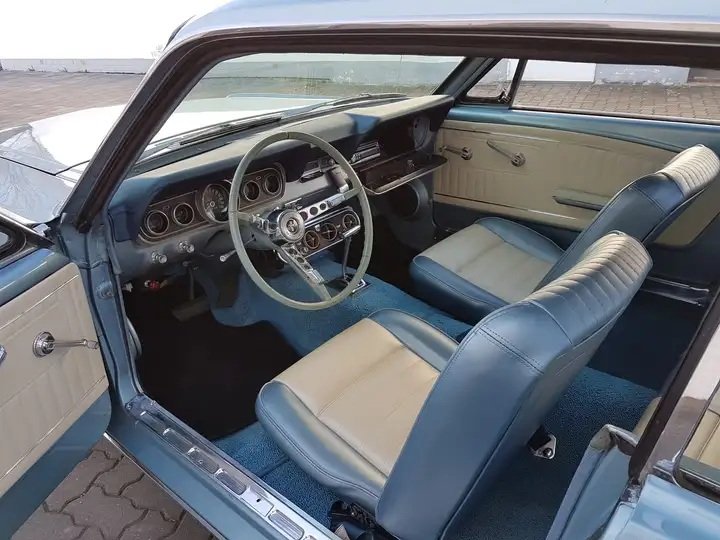 Mustang 3.jpg