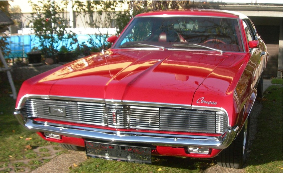 Cougar Front.jpg