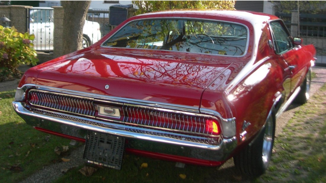cougar hi re.jpg